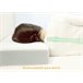 Almofada Ergonômica Anti-Rugas ERGO Extra Grande Branco/cinza