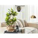 Beliani Planta artificial MAGNOLIA Verde