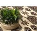 BCF Rug Morad ZEGARY relógios classic 120x170 Castanho