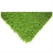  Acomoda Textile - Tapetes de relva para interior e exterior 50x80 Verde