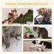 Árvore para Gatos Aglomerado de madeira, ABS e Juta PawHut Verde