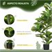 Planta Artificial PEVA e Metal HOMCOM, casa - decoração Verde