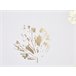 Beliani Almofada decorativa GOLDENROD 45x45 Branco