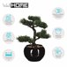 WELL HOME - Bonsai artificial em vaso de cerâmica Verde