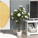 Árvore de Camélia Artificial PE, PP, Cimento, Tecido Outsunny Branco