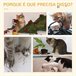 Árvore Arranhador para Gatos Amarelo