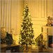 Árvore de Natal Plastico e Aço HOMCOM, casa - natal Verde