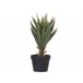 Beliani Planta artificial YUCCA Verde