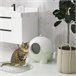 Caixa de Areia para Gatos PP e PC PawHut Verde