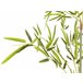 Beliani Planta artificial BAMBUSA VULGARIS Verde