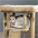 Arranhador para Gatos Aglomerado de Madeira, Pelúcia e Juta Castanho