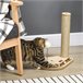 Arranhador para Gatos Aglomerado de Madeira e Juta PawHut Castanho