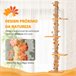 Árvore para Gatos Aglomerado de madeira Laranja