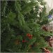 Árvore de Natal Pontas de PVC e PE, Base de aço e suporte HOMCOM Verde