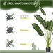 Planta Artificial Bananeira PE e Tecido HOMCOM Verde