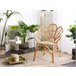 Cadeira pavão FLORENTINE II Rattan Natural Natural