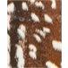 Beliani Decoração em pele de ovelha KNOLL 130x170 Castanho