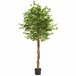 árvore de ficus artificial Verde