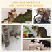 Arranhador para Gatos Aglomerado de Madeira, Pelúcia e Sisal Cinza