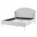 Beliani Cama com estrado Veludo AMBILLOU 177x214 Bege