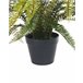 Beliani Planta artificial FERN LEAF PLANT Verde