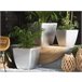 Beliani Conjunto de 2 vasos para plantas ASTRAS 