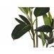 Beliani Planta artificial FICUS ELASTICA Verde