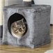 Arranhador para Gatos Aglomerado de Madeira, Pelúcia e Sisal Cinza