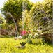 Aspersor de Rega 360º para Jardim Multicor