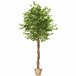 árvore de ficus artificial Verde