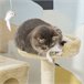 Arranhador para Gatos Aglomerado, Pelúcia e Corda de Sisal PawHut Bege