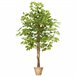 árvore de ficus artificial Verde