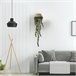 WELL HOME - Planta contemporânea para pendurar na parede Verde