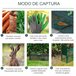 Armadilha para Animais Vivos Aço Outsunny Verde