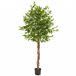 árvore de ficus artificial Verde