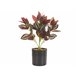 Beliani Planta artificial TRADESCANTIA Verde