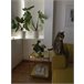 Beliani Mesa de apoio ALSEA 41x41 Dourado