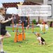 Conjunto de Treino e Agilidade ABS, PE, Tecido Oxford PawHut Laranja