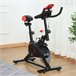 Bicicleta Estática Aço e ABS HOMCOM Multicor