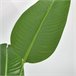 Planta Artificial Bananeira PE e Tecido HOMCOM Verde