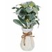 Beliani Planta artificial PEPEROMIA ARGYREIA Verde