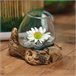 Jarra ANFISBENA 10x10x10cm marca DECORIS Natural