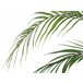 Beliani Planta artificial ARECA PALM Verde