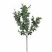 Planta floral EUCALIPTO 65cm marca CONFORAMA Verde