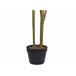 Beliani Planta artificial DRACAENA ANITA Verde