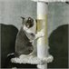 Arranhador para Gatos Branco