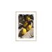 Quadro art deco LIMONES 35x50cm marca MARCOMUEBLE  Multicor