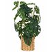 Beliani Planta artificial KIAMA Verde