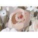 Pintura Multicor