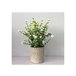 Planta artificial com vaso ELINOR Multicor